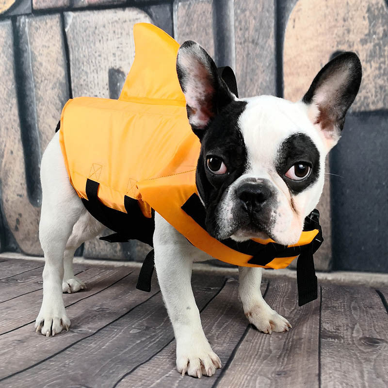 Fun & Safe: Summer Shark Life Jacket for Dogs