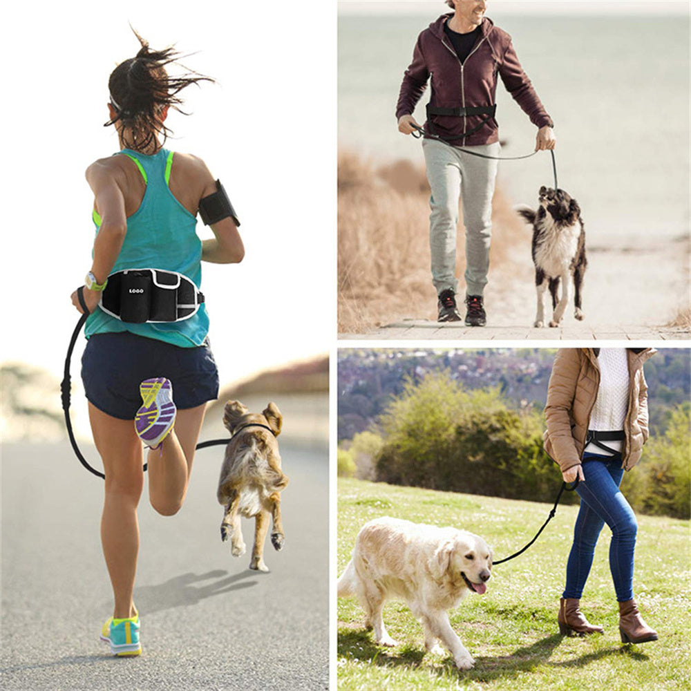 Hands-Free Dog Leash with Storage for Every Adventure