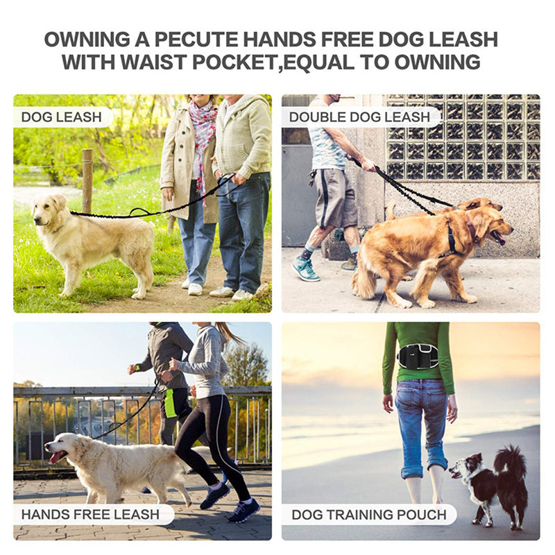 Hands-Free Dog Leash with Storage for Every Adventure