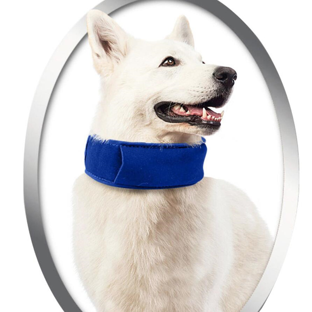 Cool Comfort: Essential Cooling Collar for Hot Days