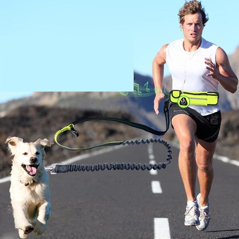 Run Freely: Hands-Free Dog Leash with Convenient Waist Pocket