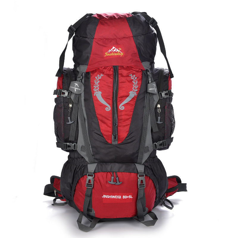 Spacious Professional Mountaineering Backpack – Your Ultimate Travel Companion