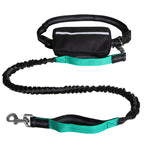 Adventure Awaits: Reflective Hands-Free Leash for Active Dogs
