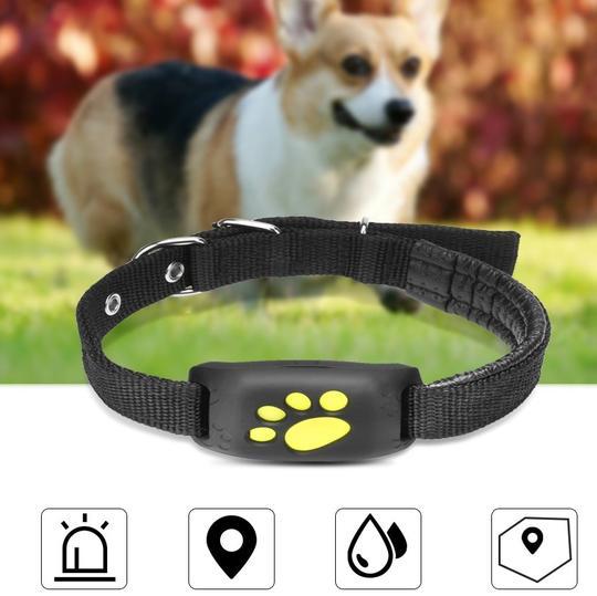 Find Your Pup Instantly. Reliable GPS Pet Tracker Here.