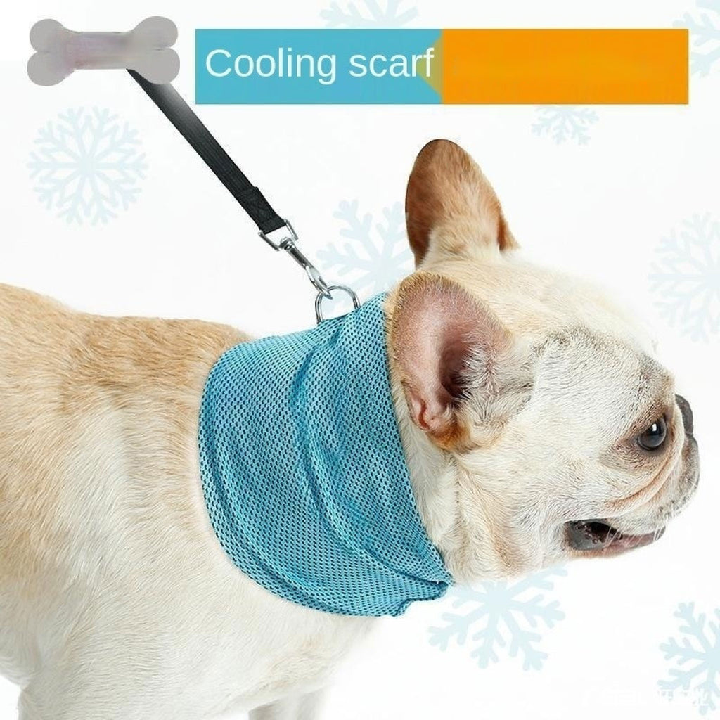 Stay Cool: Trendy Summer Scarf for Your Pet