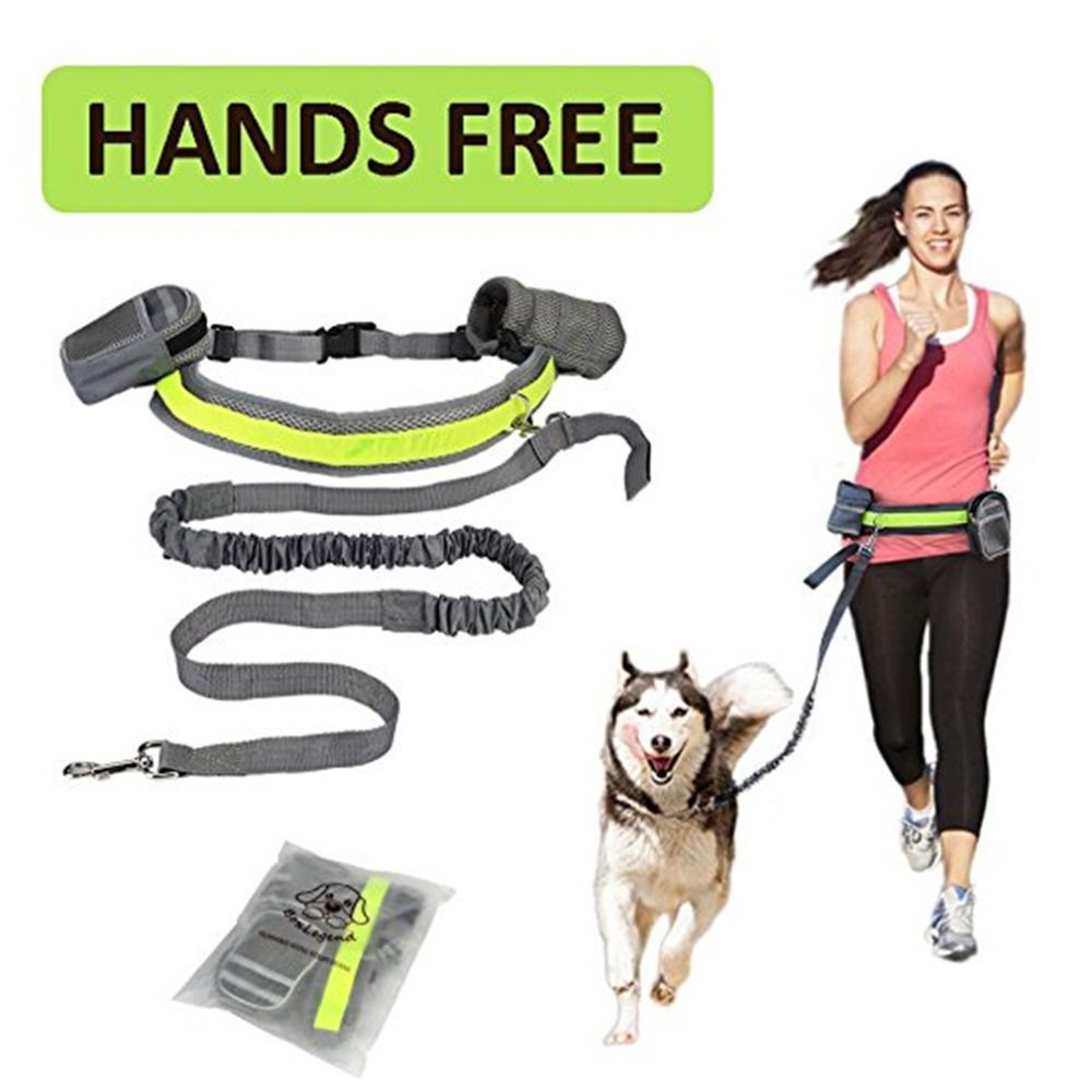 Enjoy Adventures: Hands-Free Adjustable Leash for Dogs