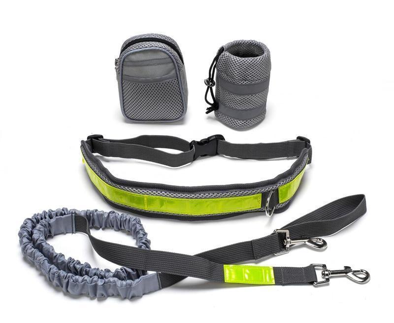 Enjoy Adventures: Hands-Free Adjustable Leash for Dogs