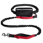 Adventure Awaits: Reflective Hands-Free Leash for Active Dogs