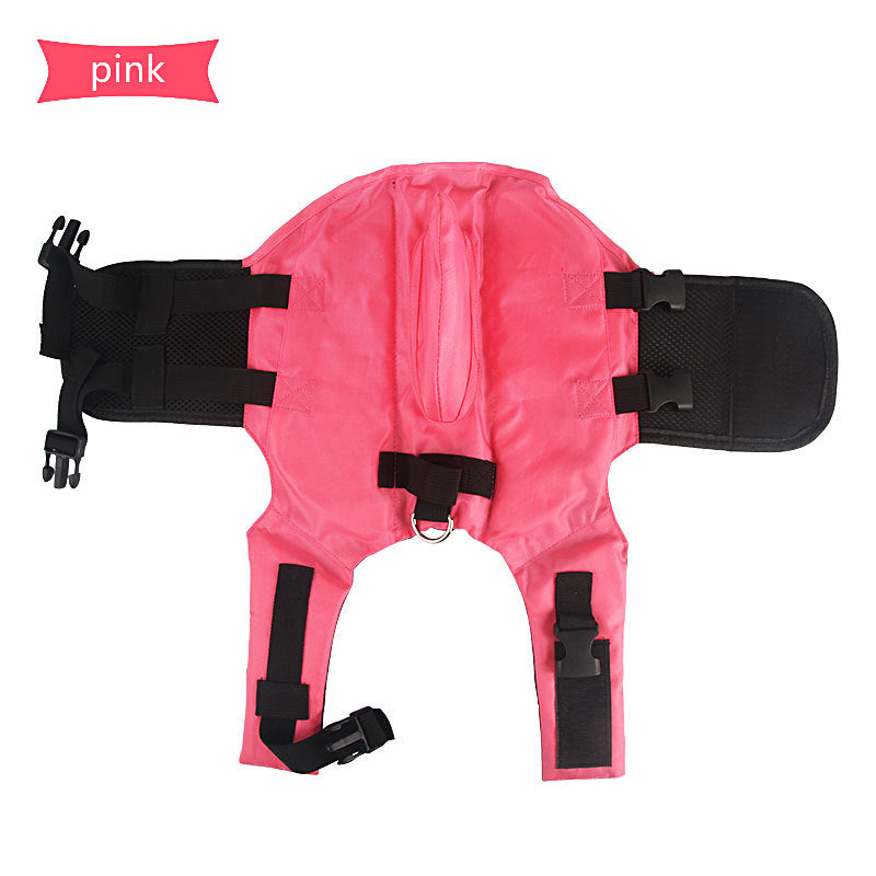 Fun & Safe: Summer Shark Life Jacket for Dogs
