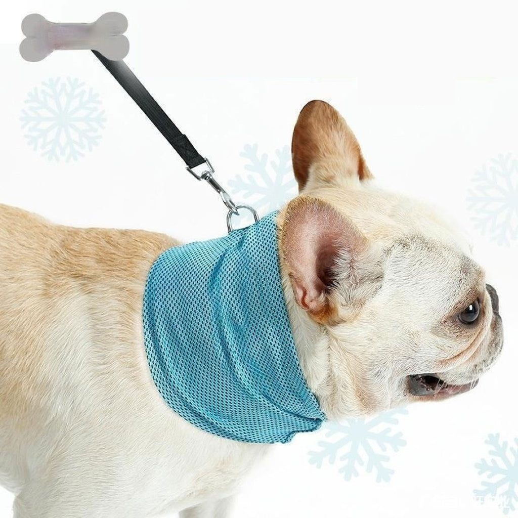 Stay Cool: Trendy Summer Scarf for Your Pet