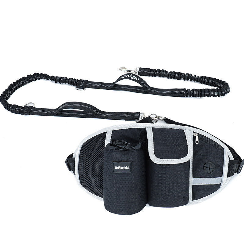Hands-Free Dog Leash with Storage for Every Adventure