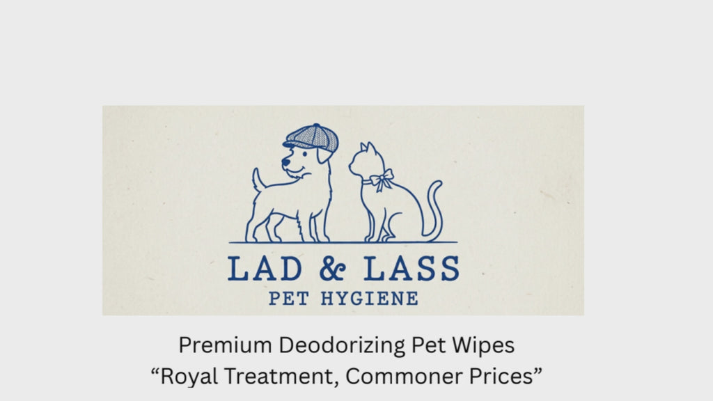Lad & Lass Deodorizing Pet Wipes (80ct) – Thick Grooming Wipes for Dog & Cat Paws, Coat & Face