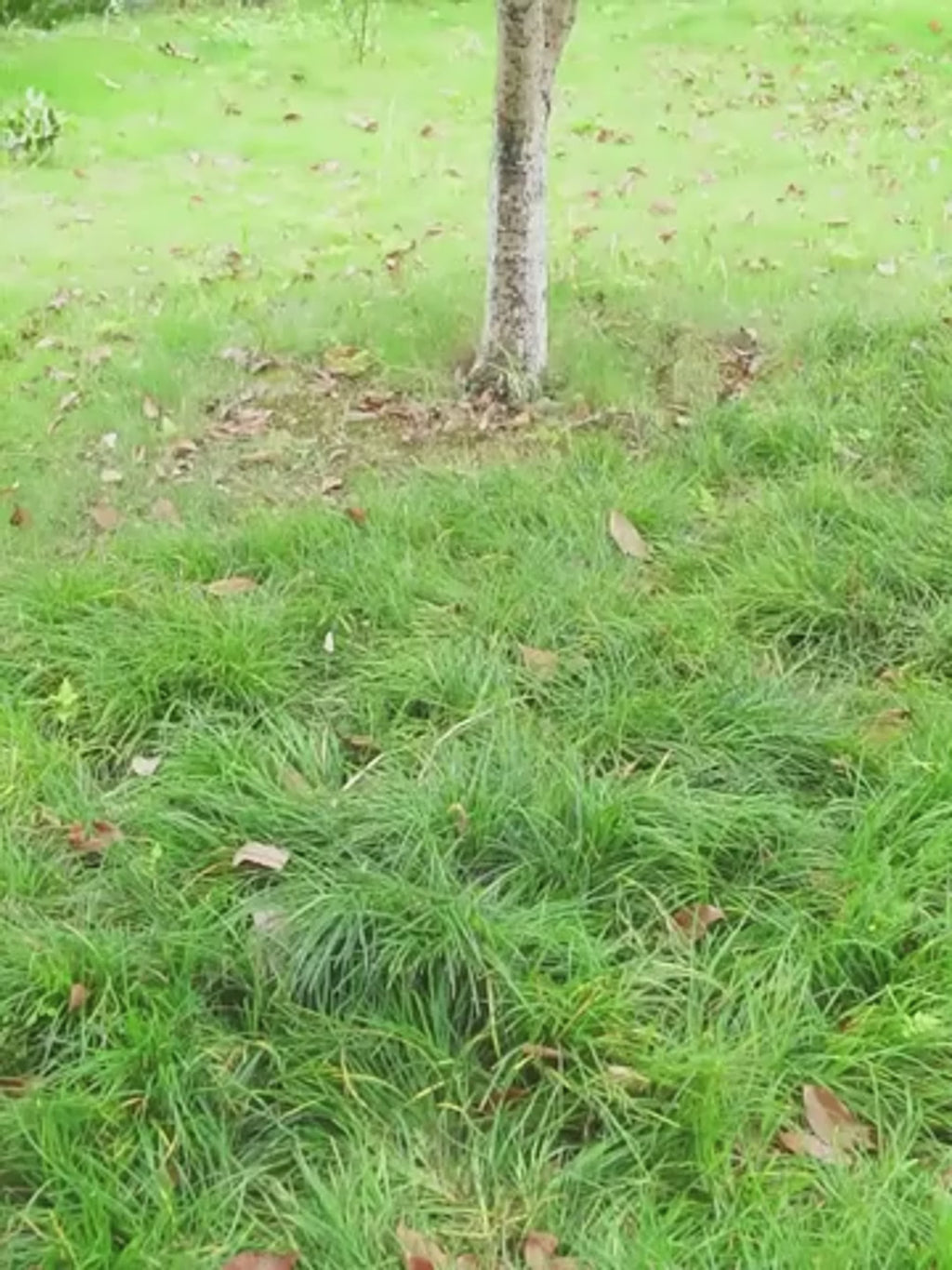 Compact Folding Hammock – Breathable Mesh for Comfort Anywhere