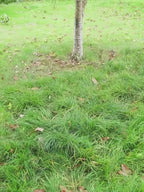 轻便可折叠吊床 – 透气网布，随时随地舒适睡眠