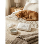 Lad & Lass Deodorizing Pet Wipes (80ct) – Thick Grooming Wipes for Dog & Cat Paws, Coat & Face